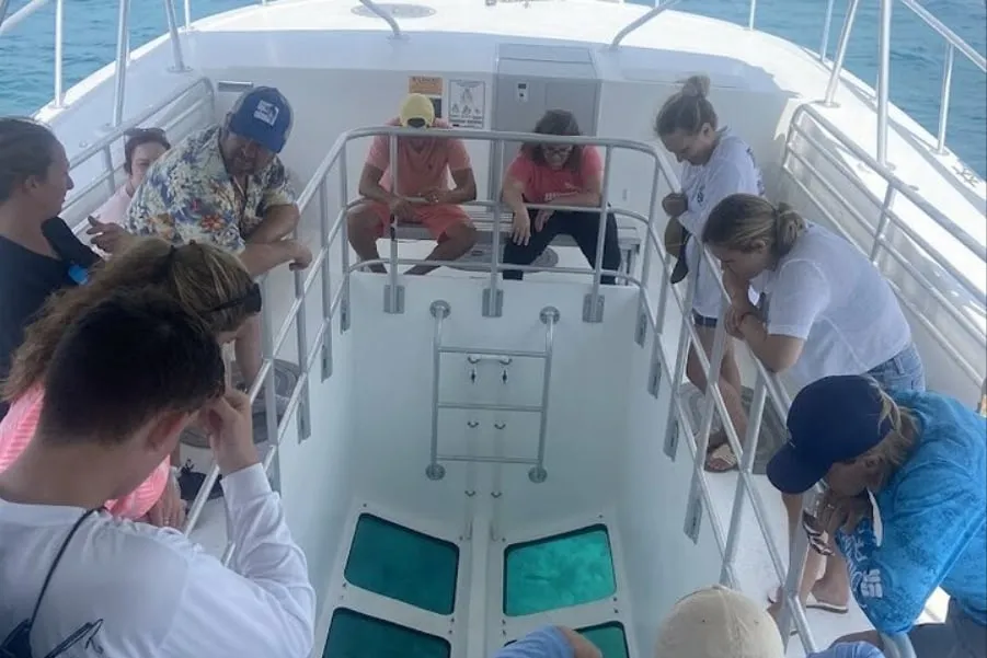 Guests looking down through the glass viewing well