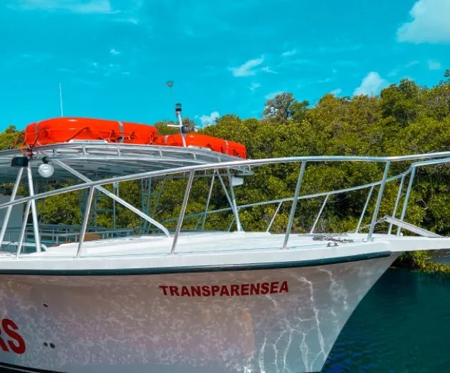 The bow of the Transparensea